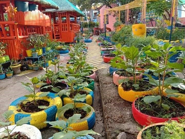 School Vegetable Garden